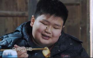 太子爺吃瓜娛樂圈,娛樂圈風(fēng)云再起