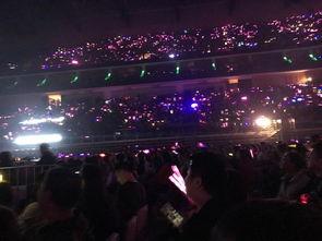 娛樂吃瓜君演唱會(huì),狂歡之夜，星光熠熠