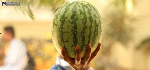 在哪吃娛樂圈的瓜,揭秘“在哪吃”獨(dú)家瓜料